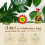Houseplant Bug Killer Ultra - Fast-Acting Bug Killer Spray 2