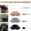 (10,5 ιντσών Clear14-up) 4,5"-10,5" Wave Windshield Fairing Παρμπρίζ για Harley Electra 2