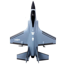 (1 μπαταρία) F35 F22 J-20 Fighter 2.4G 3.5CH EPP RC Αεροπλάνο 315 mm Τηλεχειριστήριο