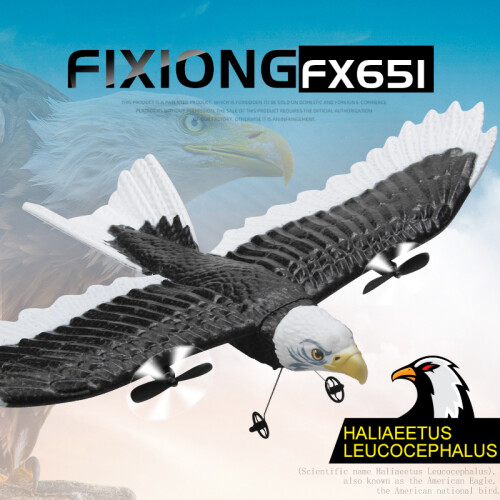 (1B)FX651 RC Plane Eagle Airplane Wingspan Glider 2.4G Αεροσκάφος Τηλεχειριστήριο 2