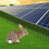 8 Inch*100 Feet Solar Panel Bird Guard,Solar Panel Roof Protection Net 10