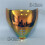 (Χάλκινο χρυσό)Εικονίδιο Fliteshield Screen Icon Airflite RST Face Shield Replacement 1