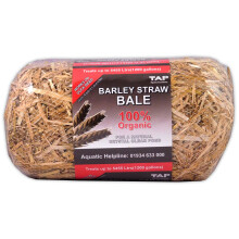 (TAP MINI Barley Straw Bale) TAP POND BARLEY STRAW BALE MINI/MIDI/MAXI LAVENDER ALGAE CONTROL BLANKETWEED