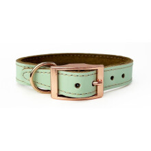 (X-Large, Pistachio) Skye & Murphy Luxury Padded Leather Dog Collar