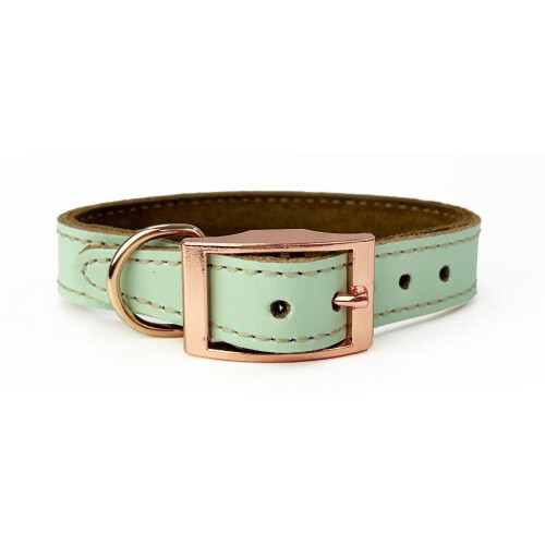 HugglePets (Medium, Pistachio) Skye & Murphy Luxury Padded Leather Dog Collar