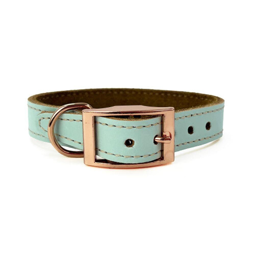 HugglePets (Medium, Ocean) Skye & Murphy Luxury Padded Leather Dog Collar