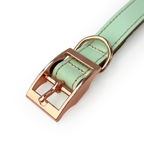 HugglePets (Medium, Pistachio) Skye & Murphy Luxury Padded Leather Dog Collar 2