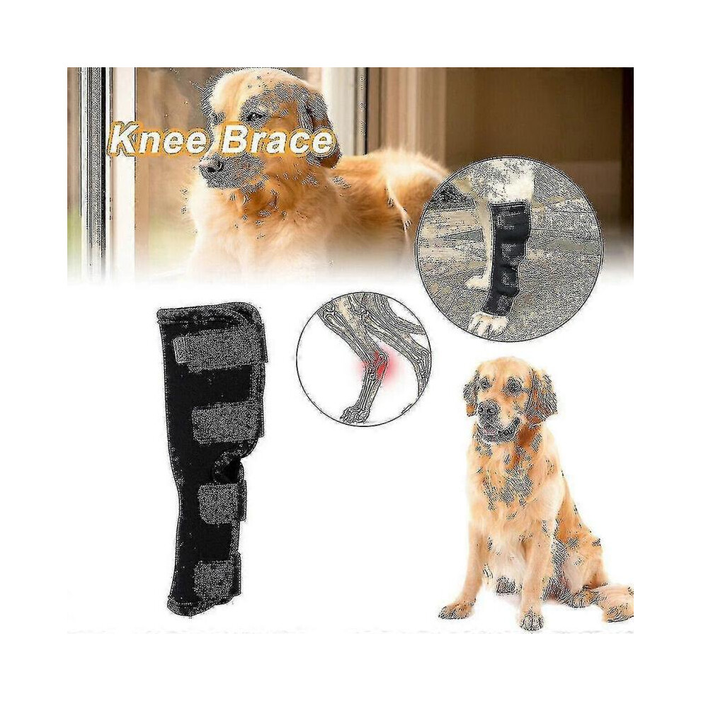 (XL) Pet Dog Leg Brace Dog Canine Hock Joint Wrap Protective Compression Brace Sleeve