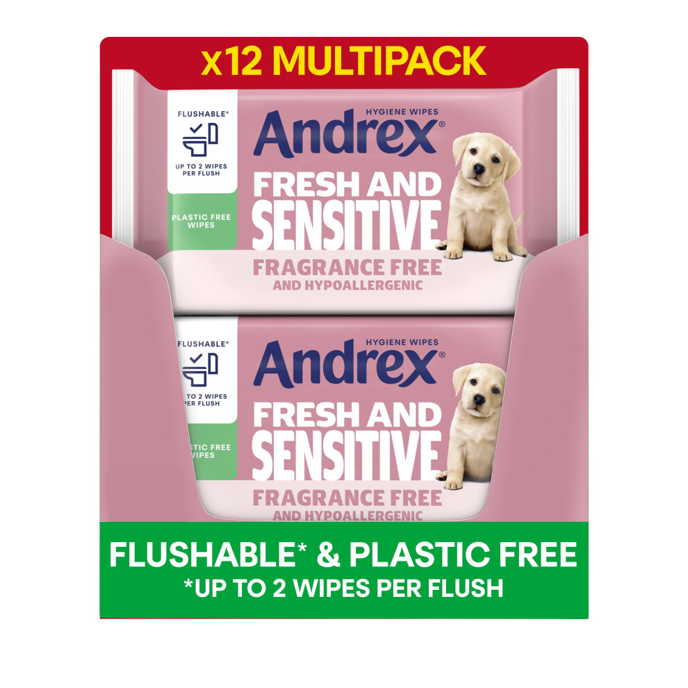 Andrex Fresh and Sensitive Hygiene Wipes, 12 Pack; Flushable Moist Toilet Tissue, Hypoallergenic and Fragrance Free Wet Wipes for Sensitive Skin (Pack