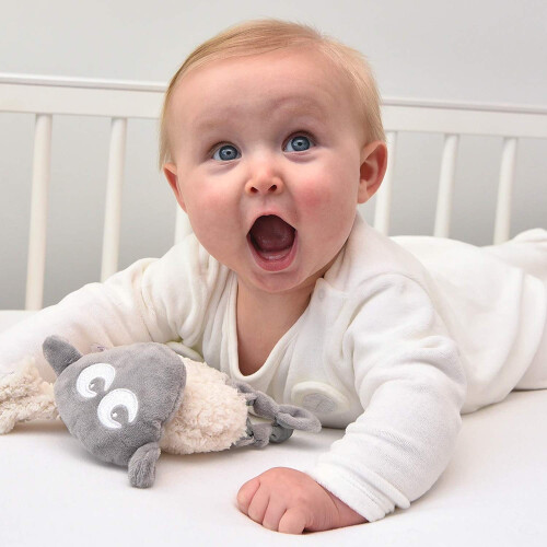 Sweet Dreamers, Ewan Snuggly? - Grey 1