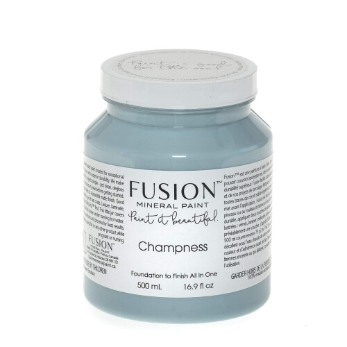 Fusion Paint (Champness)