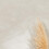 Rust-Oleum Rust-Oleum Beige Limewash Effect Wall Paint - No.010 2.5L 2