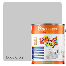 Landlords Anti Damp Paint | Matt Finish | Prevent Build-up of Mildew | Paint for Wall and Ceiling | Anti Condensation and Mould | 5L Pigeon Grey