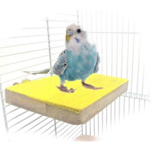 Bird Perch Stand Platform Toy, Natural Wood Playground Paw Grinding for Pet Bird Parrot