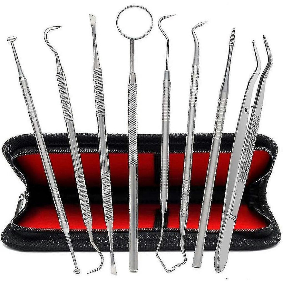 (10 piece set) 8-piece Set Dental Care Set,stainless Steel Dentist Instrument,dental Tools