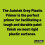 Professional High Covering Power Spray Paint, Grey Plastic Primer, 500 ml 12
