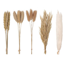 - Original Dried Flower Set Containing Pampas, Oats, Wheat, Lagarus Bunny Tails & Phalaris For Cake & Cupcake Decorating & Others Crafts (Natural)