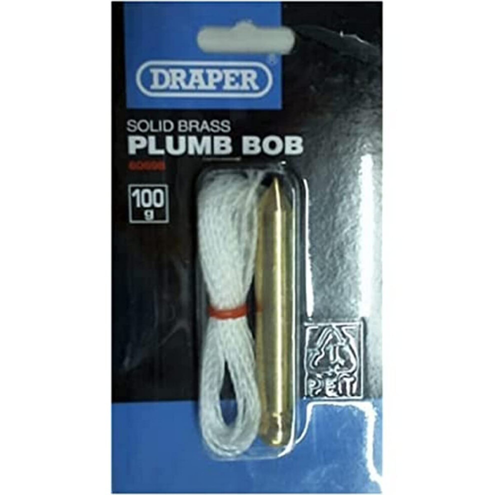 60698 Expert Brass Plumb Bob with 5m Nylon Line, 100g , Blue
