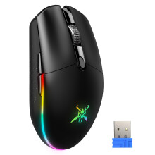 Wireless Gaming Mouse - Rechargeable Wireless Mouse with Optical Sensor Up to 8000 DPI, 6 Programmable Buttons, and RGB Backlighting, 2.4G Lightweight