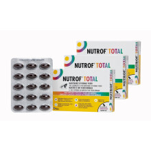 90 Nutrof Total Capsules – Eye Health Supplement with Lutein, Zeaxanthin, Omega 3, and Antioxidants | Daily Dose of Essential Nutrients for Optimal