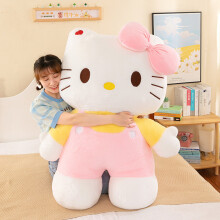 (Pink,40cm)Sanrio Hello Kitty Cartoon Plüschtier Stofftier abnehmbar beruhigend Geschenk Kinder