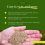 Pronto Seed Premium Grass Seed 1.4 kg - Fast Gr 2