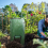 compost bags Compost Bin Bag, Fermentation Sealable Compost Bucket Garden Leaf Waste Compost Bag 5