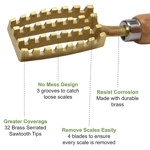 Fish scale remover Fish Scale Scraper to Remove Fish Scales Solid Wood Brass Fish Scale Brush Scraper 2
