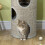 PawHut PawHut Cat Barrel Tree Tower with Sisal, Cosy Platform, Light Grey 8