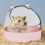 Gamelle en acrylique antidérapante pour chat et hamster 3