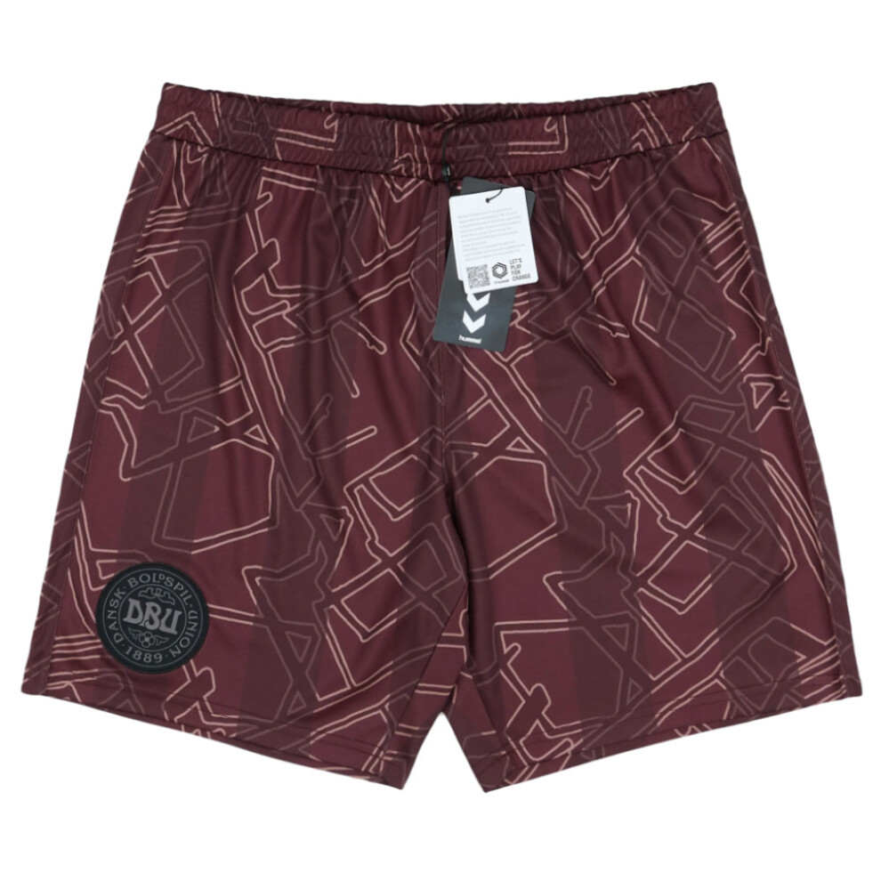 (XLB) 2024-2025 Denmark Special Edition Hummel x Halo Shorts (Dark Red) (Kids)