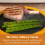 High Street TV Von Home Snap Grill - Microwavable plates 7