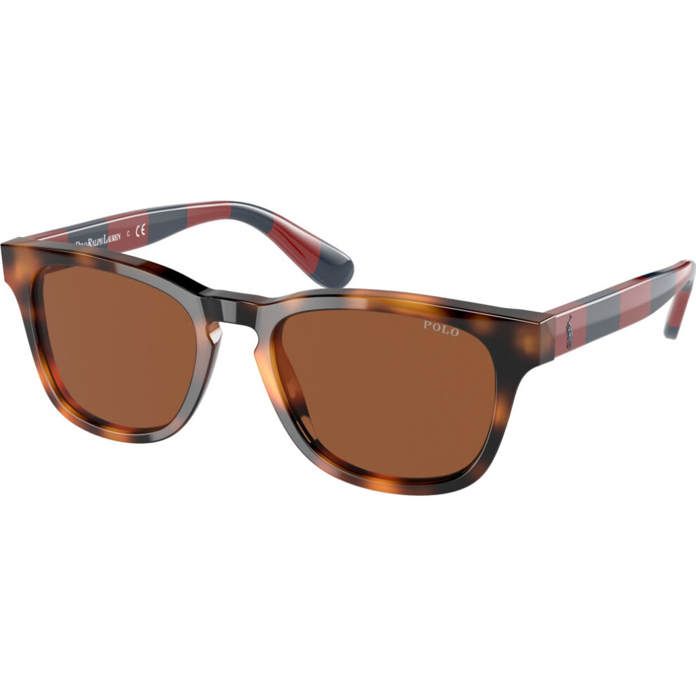 Polo Ralph Lauren PP9503-530373 PP9503 48 530373 Sunglasses