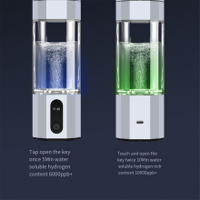 Générateur d'hydrogène par électrolyse PEM 8 000 PPB, affichage, bouteille d'eau rechargeable portable, argent et blanc