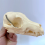 Dog Skeleton Model Anatomy Animal Teaching Laboratory Veterinary Demonstration Tool 9