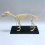 Dog Skeleton Model Anatomy Animal Teaching Laboratory Veterinary Demonstration Tool 3