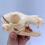 Dog Skeleton Model Anatomy Animal Teaching Laboratory Veterinary Demonstration Tool 7