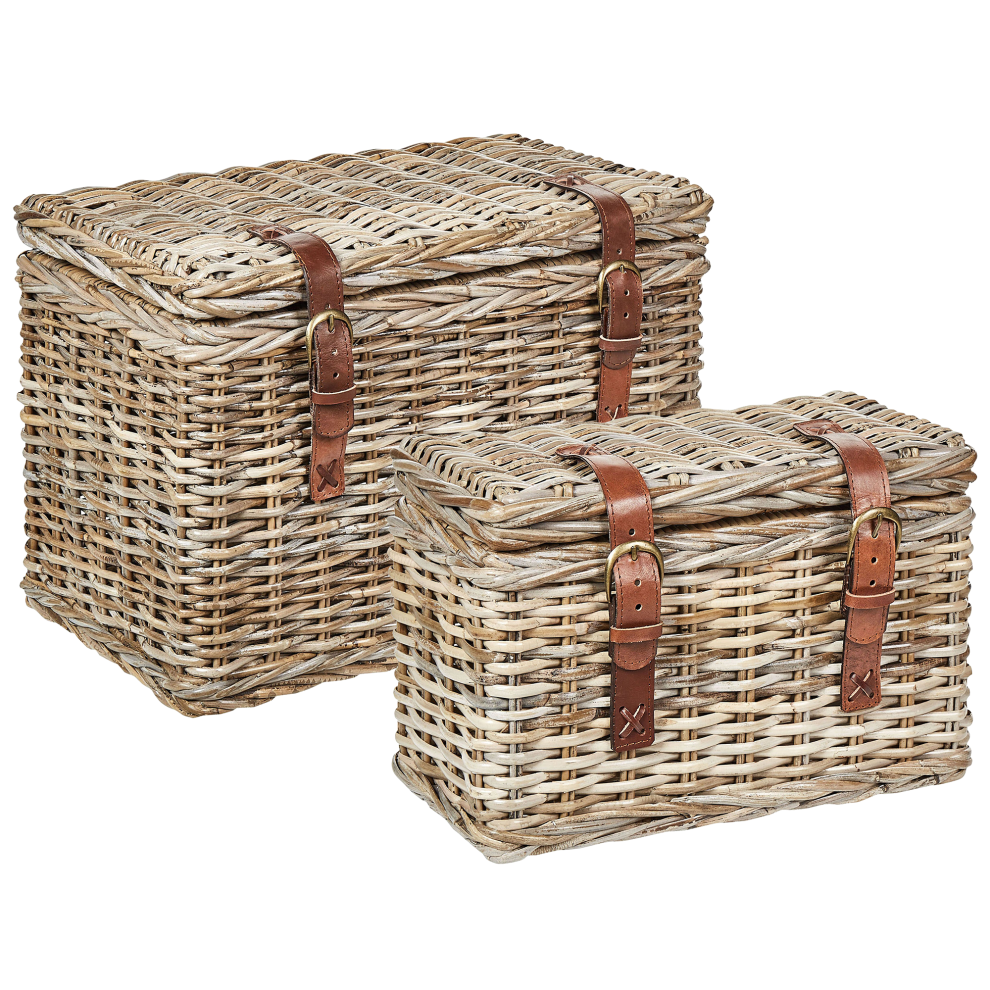 Set of 2 Baskets IRBID Rattan Natural