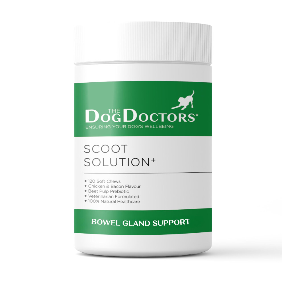 The Dog Doctors Scoot Solution 60 Soft Chews Â Dog Anal Gland Support, Natural Ingredients, Stops Scooting Â Fibre Supplement For Dogs Â All Breeds Over 12