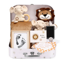 Baby Shower Gifts, Newborn Baby Gifts Basket, Unisex Baby Gift Set with Baby Blanket, Baby Security Blanket, Baby Rattle, Baby Bib, Decison Coin,