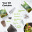 Grow Your own Venus Flytrap Kit – Easily Grow Carnivorous Venus Flytrap Plants with our Beginner friendly Venus Flytrap Kit - Unique Seed Kit Gift 4