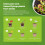 Grow Your own Venus Flytrap Kit – Easily Grow Carnivorous Venus Flytrap Plants with our Beginner friendly Venus Flytrap Kit - Unique Seed Kit Gift 3