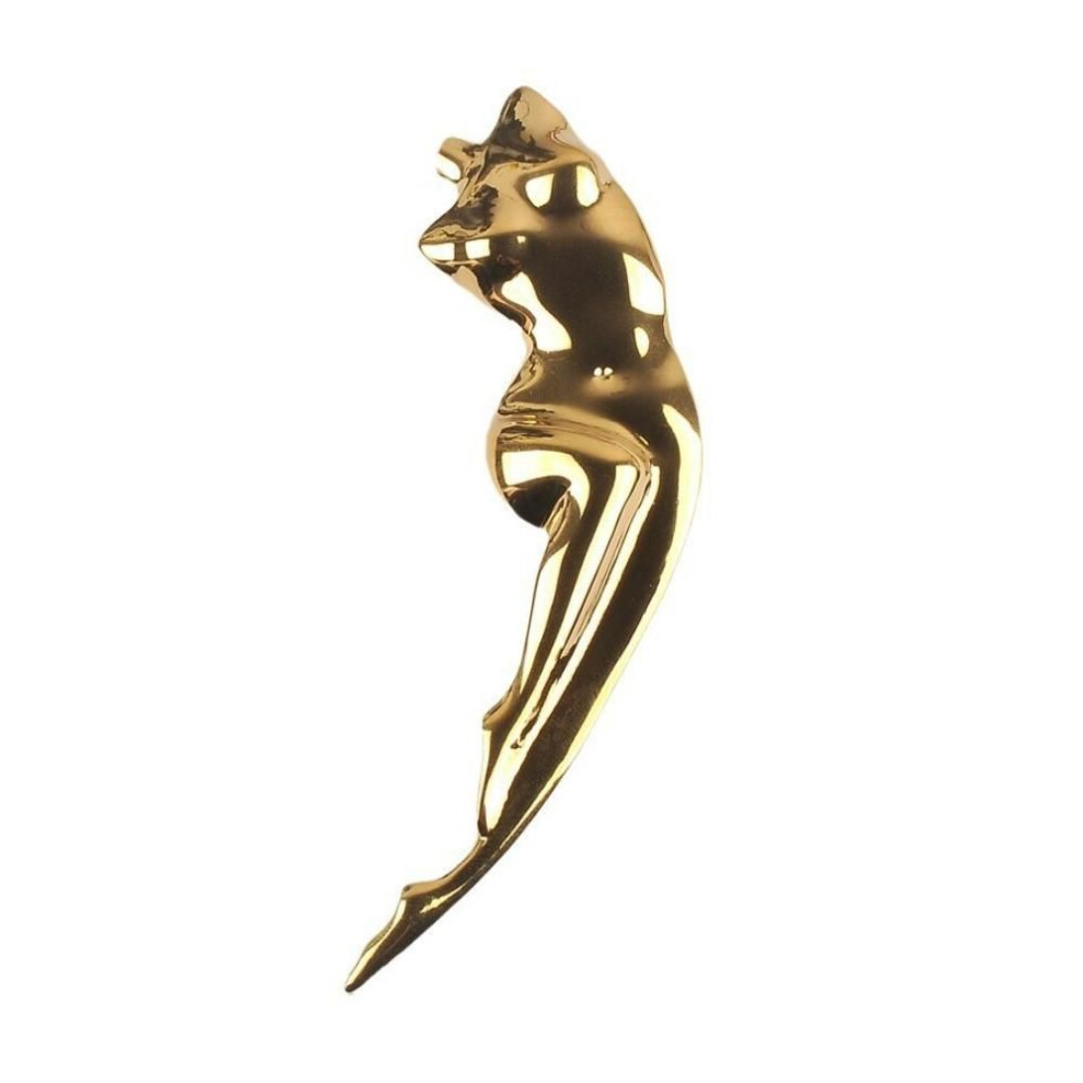 (gold) Jewelry Accessories Glossy Body Sculpture Brooches Minority Design Women Brooch  Girls