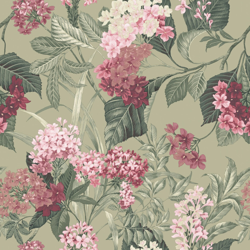 Belgravia (Sage ) Misaki Floral Wallpaper Green/Pink
