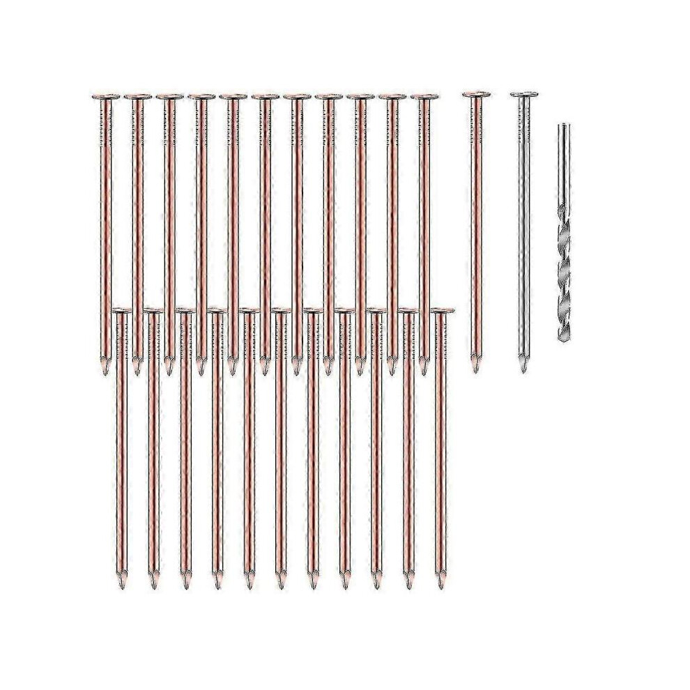 25 Pcs Copper Nails to Killing ,3.5 Inch Pure Copper Nails Bulk,Stump Removal Spikes Hardware Nails for