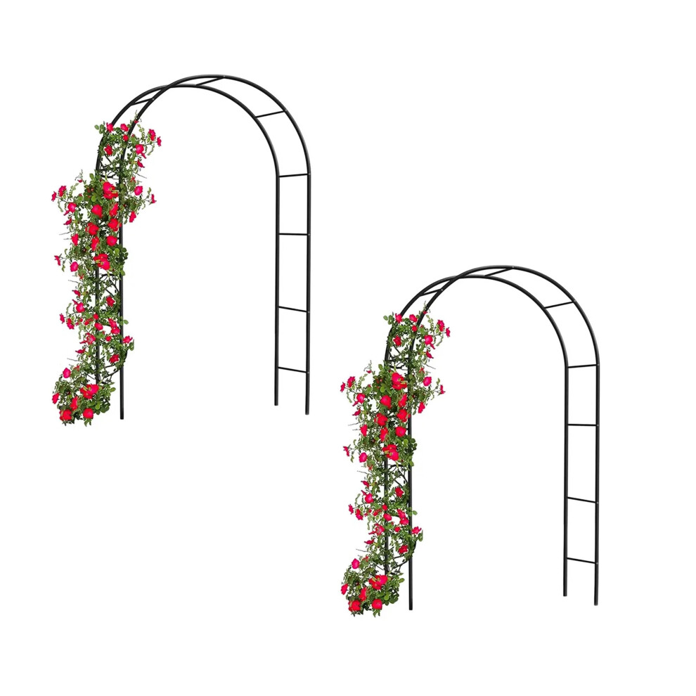 2 x Black Metal Garden Arch 2.4M Decorative Climbing Plant Support-image-OPC-PGYYRJF-NEW