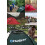Husky Husky, Tent EXTREME FALCON 2, Green 3