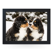 Portable Lap Desk Tray (Bernese Mountain Puppies) Handmade Wooden Frame, Beanbag Cushioned Bottom | Computers, Laptops, Meals, Food | L0160 Black