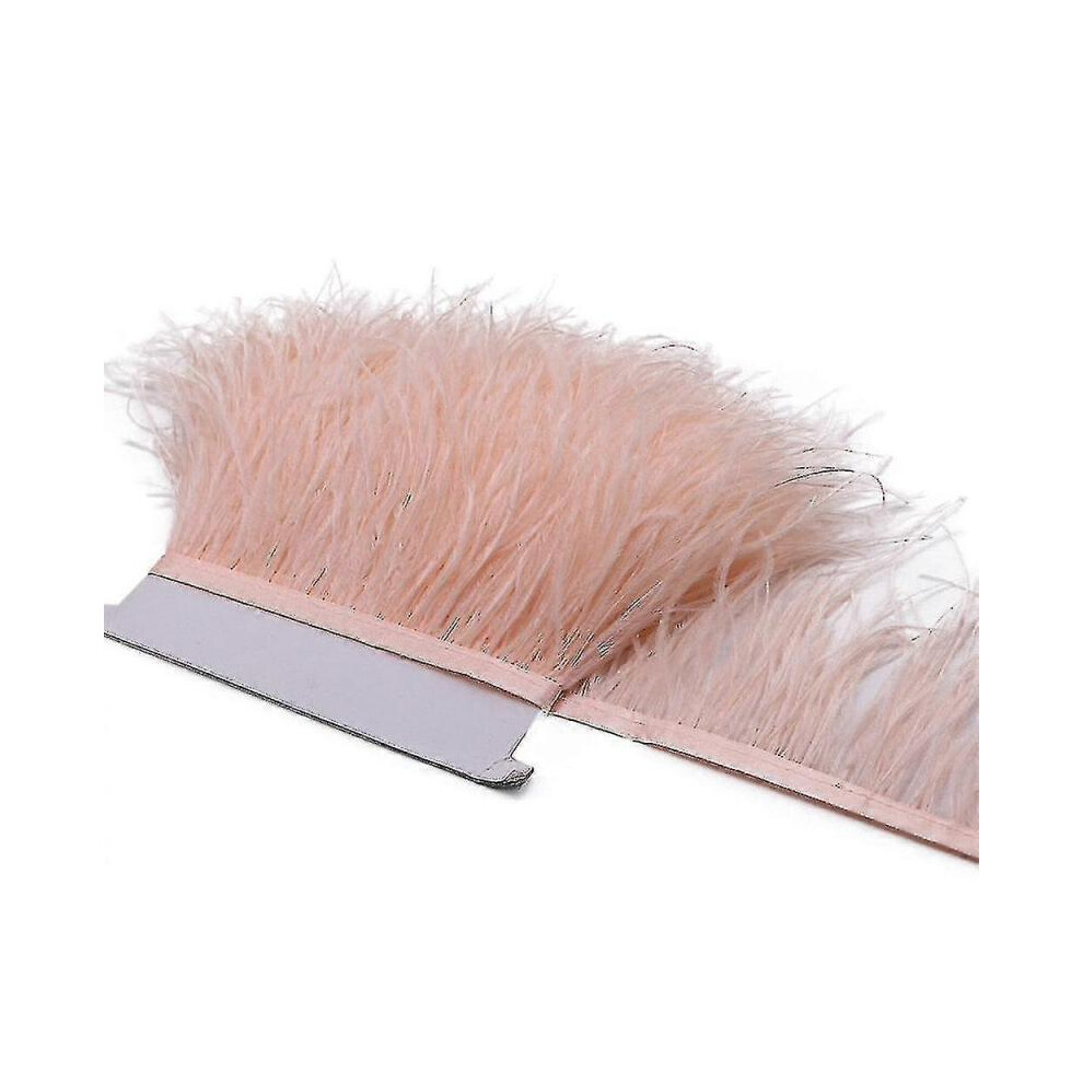 (19 Champagne)2m Plumes d'autruche Ruban Selvage