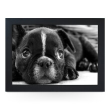 Portable Lap Desk Tray (French Bulldog) Handmade Wooden Frame, Beanbag Cushioned Bottom | Computers, Laptops, Meals, Food | L0138 Black